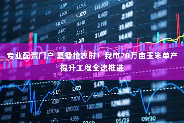 专业配资门户 夏播抢农时！我市20万亩玉米单产提升工程全速推进